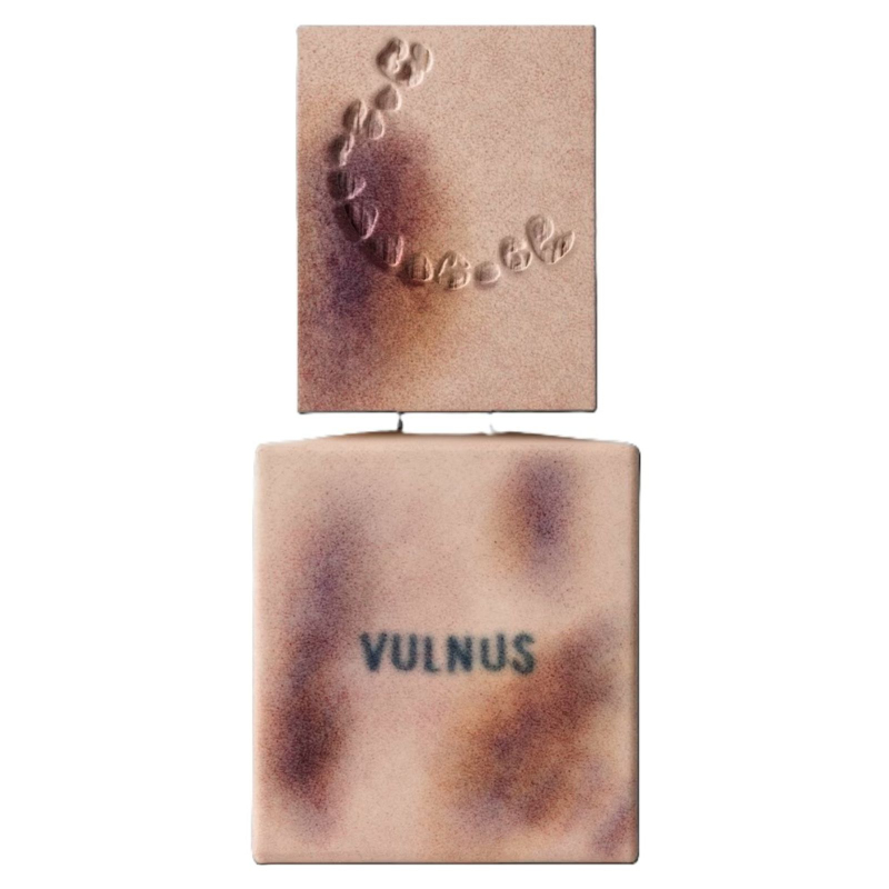 Filippo Sorcinelli - Vulnus